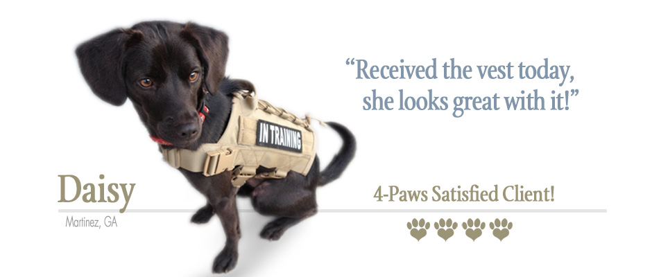 ForceK9.com MOLLE Vest