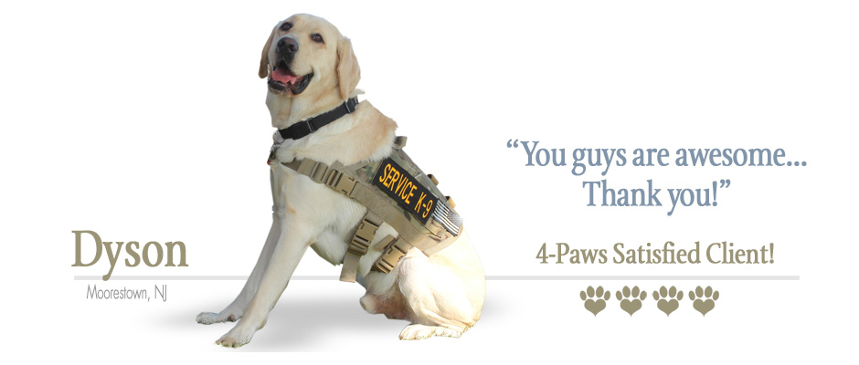 ForceK9.com MOLLE Vest