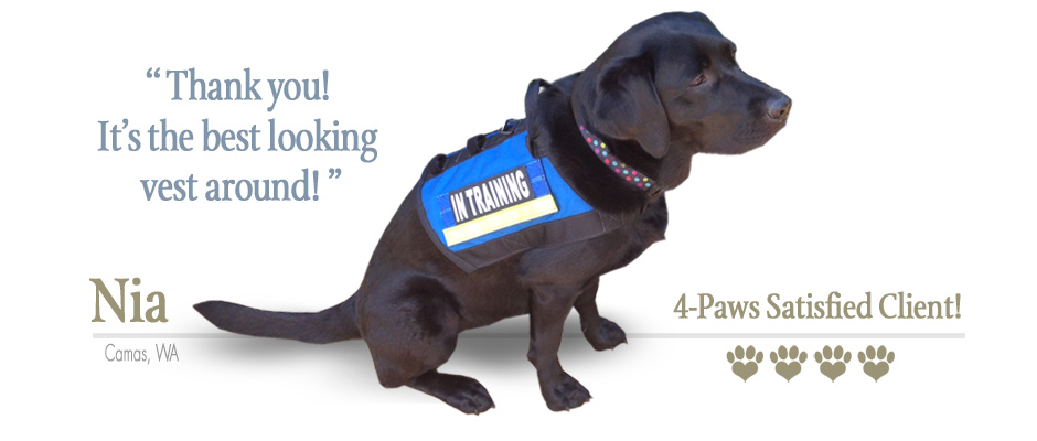 ForceK9.com MOLLE Vest