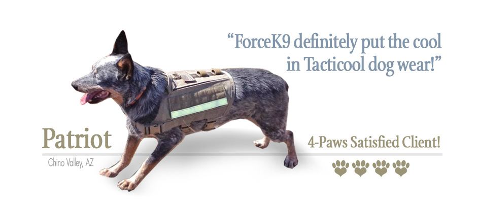 ForceK9.com MOLLE Vest