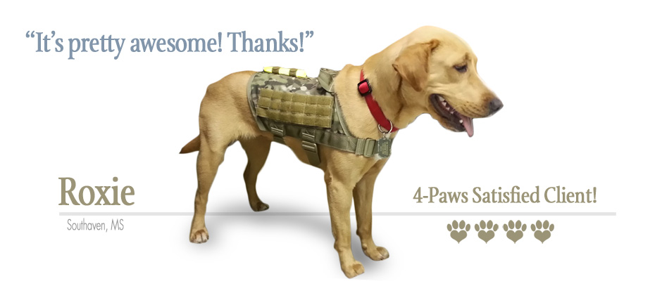 ForceK9.com MOLLE Vest
