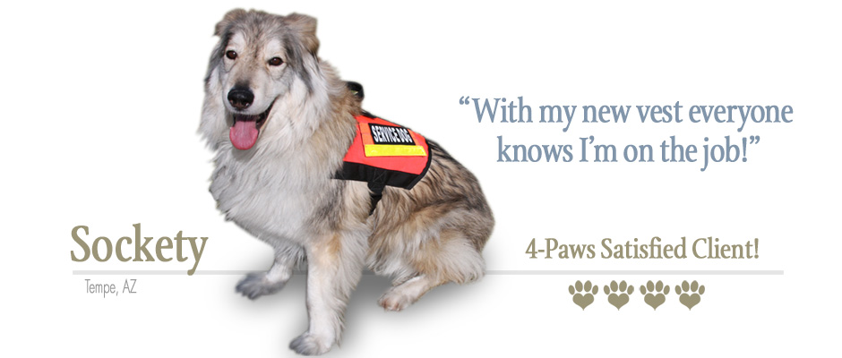 ForceK9.com MOLLE Vest