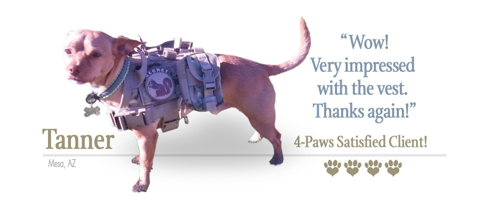 ForceK9.com MOLLE Vest