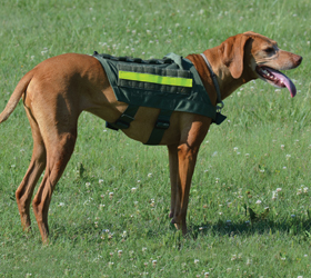 ForceK9.com MOLLE K9 Vest Customer Treasure, Vizsla