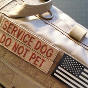 Design Your Own Custom K9 Vest!